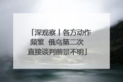 深观察丨各方动作频繁  俄乌第二次直接谈判前景不明