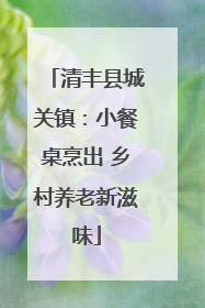 清丰县城关镇：小餐桌烹出 乡村养老新滋味