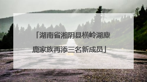 湖南省湘阴县横岭湖麋鹿家族再添三名新成员