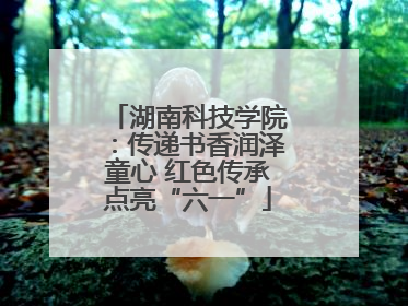 湖南科技学院：传递书香润泽童心 红色传承点亮“六一”