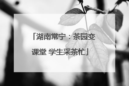 湖南常宁：茶园变课堂 学生采茶忙