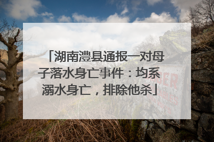 湖南澧县通报一对母子落水身亡事件：均系溺水身亡，排除他杀