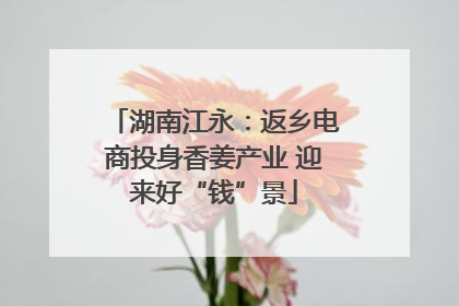 湖南江永：返乡电商投身香姜产业 迎来好“钱”景