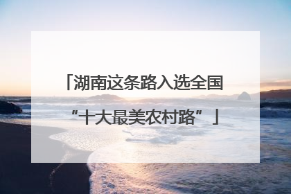 湖南这条路入选全国“十大最美农村路”