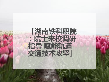 湖南铁科职院：院士来校调研指导 赋能轨道交通技术攻坚