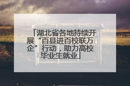 湖北省各地持续开展“百县进百校联万企”行动，助力高校毕业生就业
