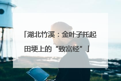 湖北竹溪：金叶子托起田埂上的“致富经”