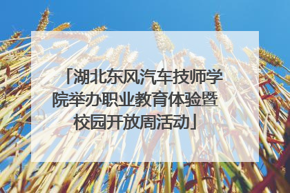 湖北东风汽车技师学院举办职业教育体验暨校园开放周活动