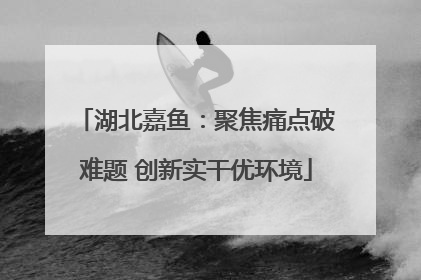 湖北嘉鱼：聚焦痛点破难题 创新实干优环境