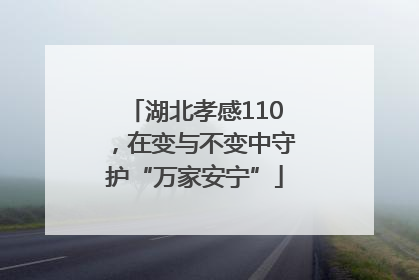 湖北孝感110，在变与不变中守护“万家安宁”