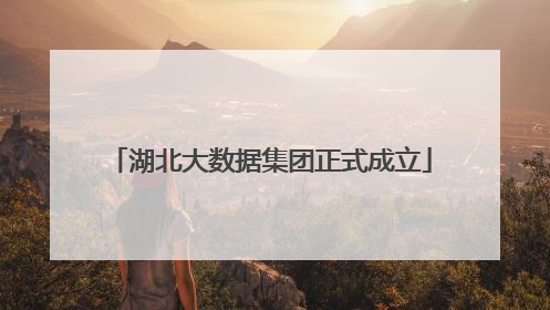 湖北大数据集团正式成立