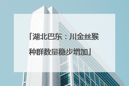 湖北巴东：川金丝猴种群数量稳步增加