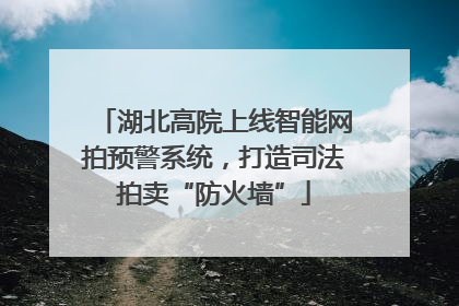 湖北高院上线智能网拍预警系统，打造司法拍卖“防火墙”