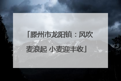 滕州市龙阳镇：风吹麦浪起 小麦迎丰收