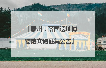 滕州：薛国遗址博物馆文物征集公告