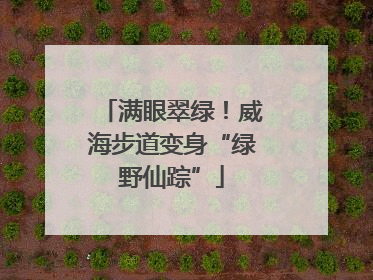 满眼翠绿！威海步道变身“绿野仙踪”