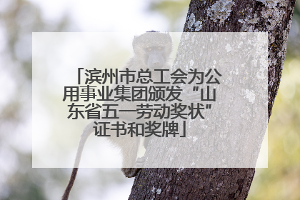 滨州市总工会为公用事业集团颁发“山东省五一劳动奖状”证书和奖牌