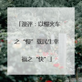 漫评：以慢火车之“慢”载民生幸福之“快”