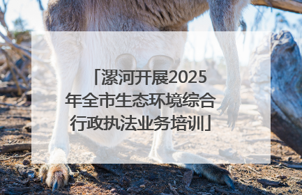 漯河开展2025年全市生态环境综合行政执法业务培训