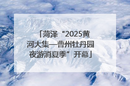 菏泽“2025黄河大集—曹州牡丹园夜游消夏季”开幕