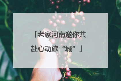 老家河南邀你共赴心动旅“城”