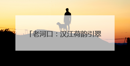 老河口：汉江荷韵引翠来 初夏生态美如画