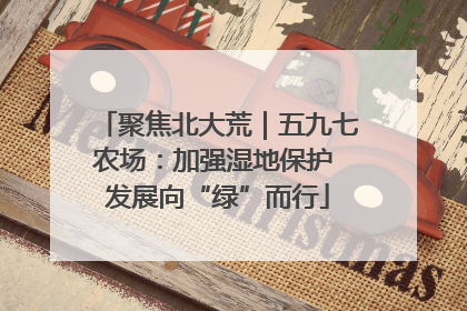 聚焦北大荒｜五九七农场：加强湿地保护 发展向“绿”而行