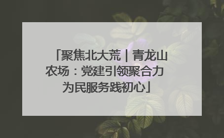 聚焦北大荒｜青龙山农场：党建引领聚合力 为民服务践初心