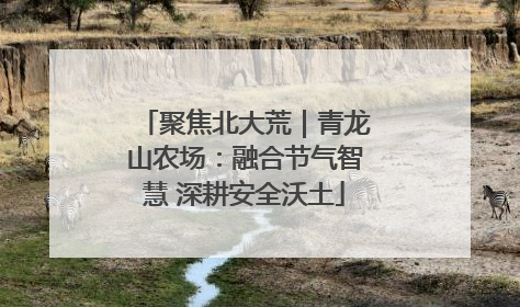 聚焦北大荒｜青龙山农场：融合节气智慧 深耕安全沃土
