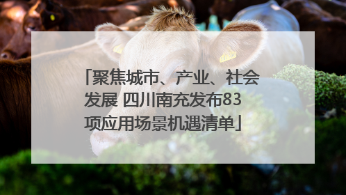 聚焦城市、产业、社会发展 四川南充发布83项应用场景机遇清单