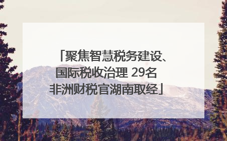 聚焦智慧税务建设、国际税收治理 29名非洲财税官湖南取经