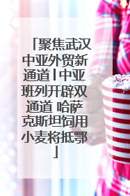 聚焦武汉中亚外贸新通道│中亚班列开辟双通道 哈萨克斯坦饲用小麦将抵鄂
