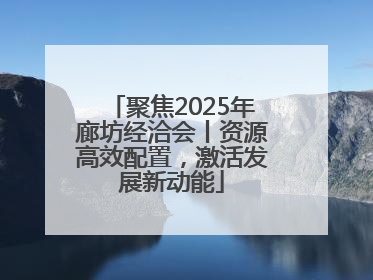 聚焦2025年廊坊经洽会丨资源高效配置，激活发展新动能