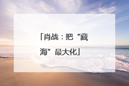 肖战：把“藏海”最大化