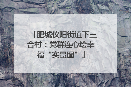 肥城仪阳街道下三合村：党群连心绘幸福“实景图”