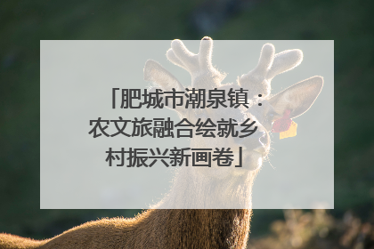 肥城市潮泉镇：农文旅融合绘就乡村振兴新画卷