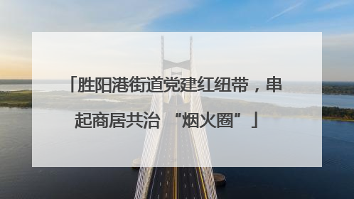 胜阳港街道党建红纽带，串起商居共治 “烟火圈”