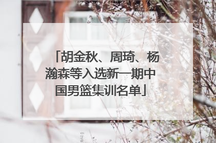 胡金秋、周琦、杨瀚森等入选新一期中国男篮集训名单