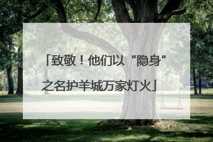 致敬！他们以“隐身”之名护羊城万家灯火