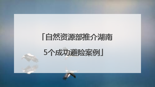 自然资源部推介湖南5个成功避险案例