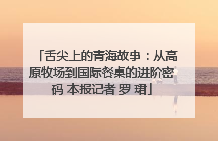 舌尖上的青海故事：从高原牧场到国际餐桌的进阶密码 本报记者 罗 珺