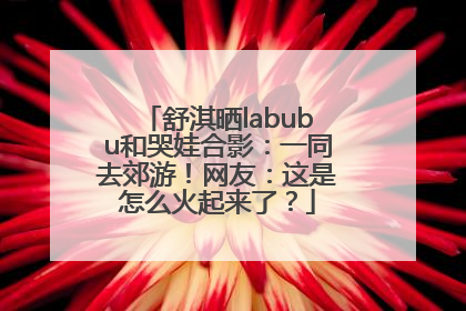 舒淇晒labubu和哭娃合影：一同去郊游！网友：这是怎么火起来了？