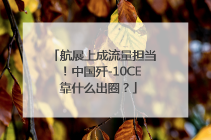 航展上成流量担当！中国歼-10CE靠什么出圈？