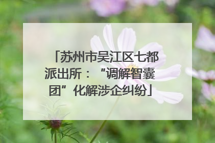 苏州市吴江区七都派出所：“调解智囊团”化解涉企纠纷