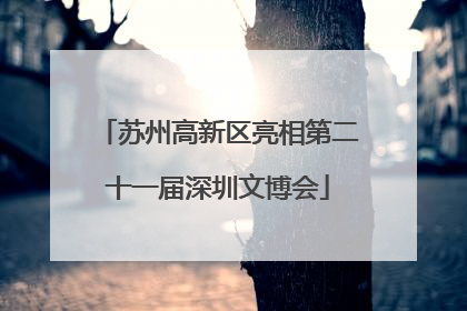 苏州高新区亮相第二十一届深圳文博会