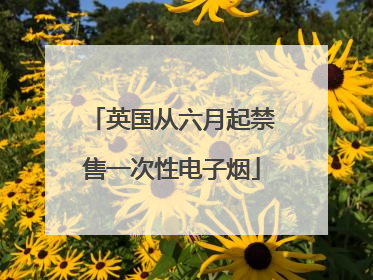 英国从六月起禁售一次性电子烟