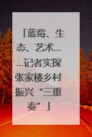 蓝莓、生态、艺术……记者实探张家楼乡村振兴“三重奏”