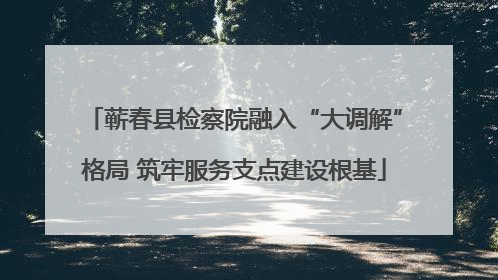 蕲春县检察院融入“大调解”格局 筑牢服务支点建设根基