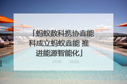 蚂蚁数科携协鑫能科成立蚂蚁鑫能 推进能源智能化