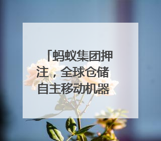 蚂蚁集团押注，全球仓储自主移动机器人第一股要来了｜IPO直通车